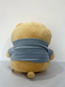Ryan Kakao Friends Plush