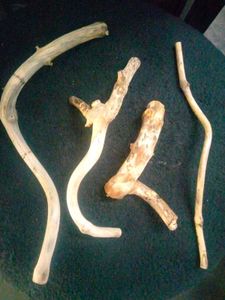 Drift Wood Pieces