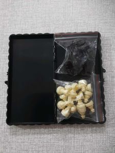 Traveller&#39;s Magnetic Chess