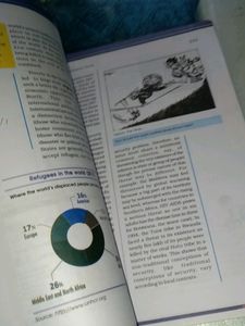 Contemporary World Politics Class 12th