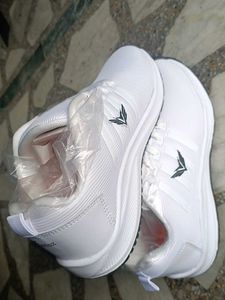 White Casual Sneakers