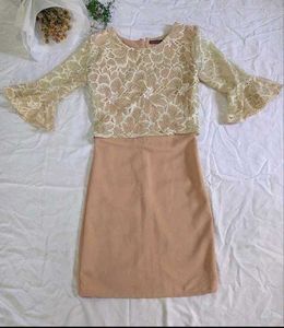 Elegant Lace Dress