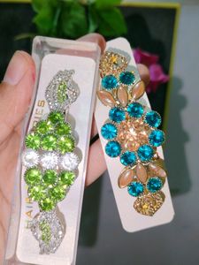 Hair Clips Combo (2) /New