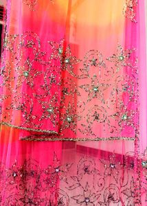 💗Lehanga Choli💗