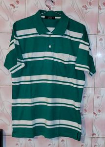 BRANDED GREEN & WHITE T SHIRT