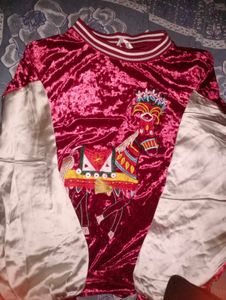 Vintage Velvet Horse Embroidered Top