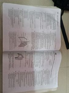 Arihant Master The NCERT