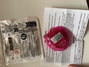 Tamagotchi Virtual Pet