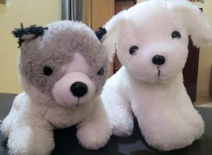 Soft Toys