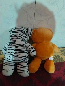 Combo Teddy Bear 🧸 Plush