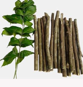 Neem Sticks - Natural Oral Care