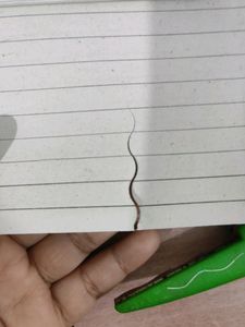 GORILLA Premium Designer Scissor