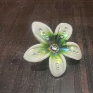 Lip Gloss - Mocha ( WITH FREE FLOWER CLUTCHER)