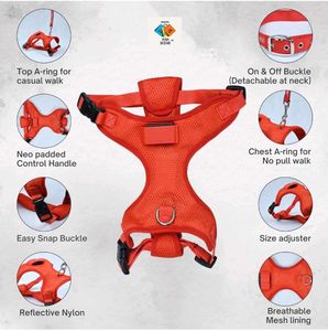 Dog Harness