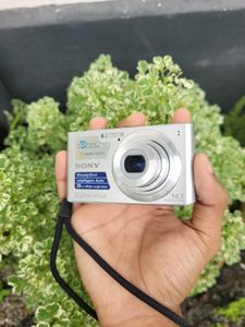 SONY CYBERSHOT DSC-W610 Digital Camera