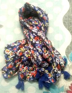 Scarf Or Stole