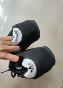 Adidas Shoes