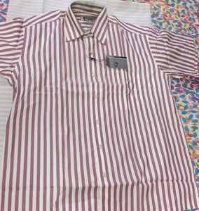 Newly Branded Shirt For Men(Summer)