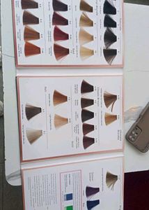 Hi Everyone Am Looking For Hair Colour Shade Card
