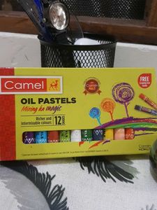 Camel Oil Pastels