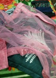 Elegant Pink Embroidered Lehenga