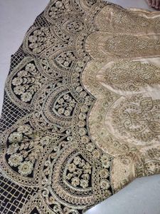 Gorgeous Lehenga Choli