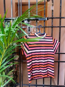 Multicolour Nuon Crop Top