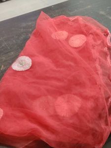 Red Net Dupatta with Floral Details