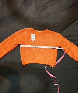 H&amp;M Brand Round Nack Crop Winter Top