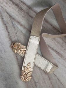 Golden Sleek Belt