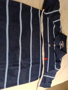 Ralph Lauren Polo Collar blue stripe t-shirt