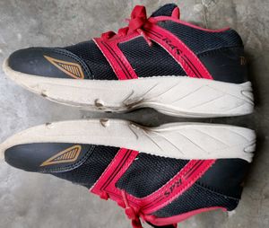 RDS Sports Black &amp; Red Sneakers