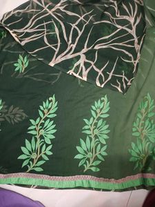 Green Embroidered Saree