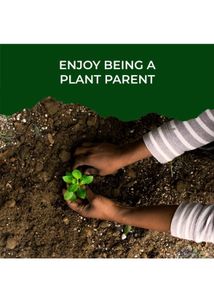 Tulsi Grow Kit
