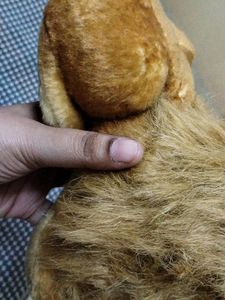 Lion Soft Toy