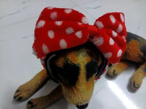 Soft Cotton Feather Febric Bow in❣️🤍