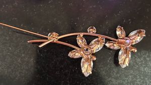 Sparkling Brooch