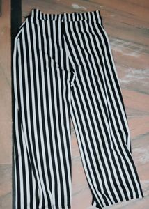 Daily Wear Lower