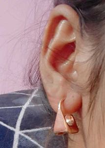 Geometric Gold Tone Earrings