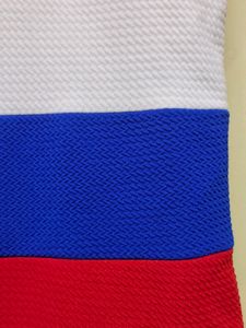 Girl Sleeveless Formal Dress