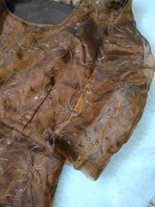 Organza Frock
