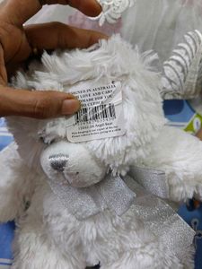 Angel Bear Brand New