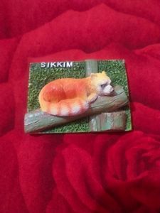 Beautiful Sikkim Fridge Magnet New