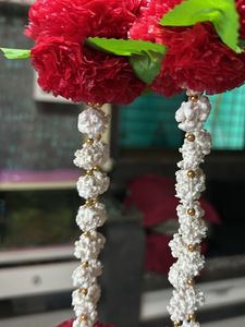 Tilgul Haar