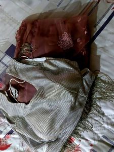 Net Saree And Sequence Work Blouse