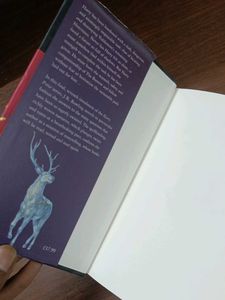 Harry Potter Hardcover Book Pair