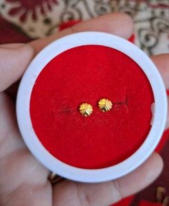 Stud Earrings Gold