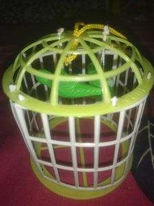 Toy Pinjra(6 Piss/Random Colour)😇