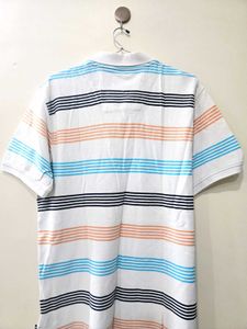 Striped Nautica Polo Shirt