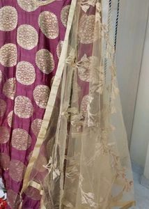 Elegant Indian Outfit With Net Dupatta